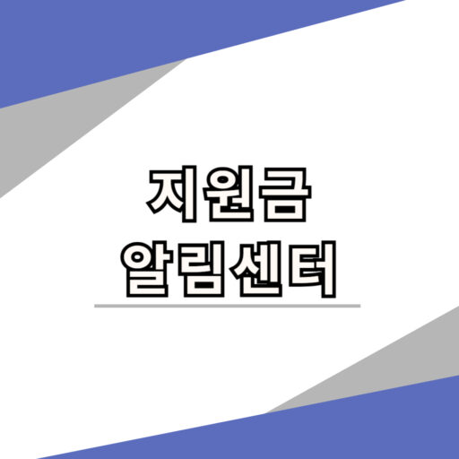 개인 사업자 지원금 업종제한 비용 차이를 정리한 화면